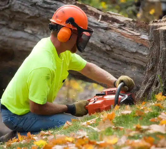 tree services Elrod